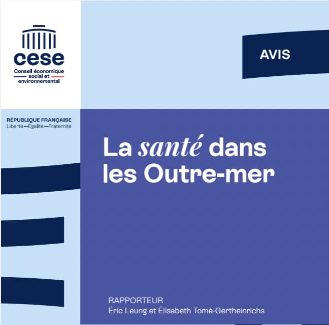 Recommandation n°8 du Conseil économique, social et environnemental